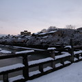 Photos: 浅野川　中の橋と主計町　雪