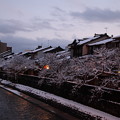 Photos: 夕暮れの主計町 　桜並木に雪の花?