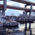Photos: 神戸港と高速道路