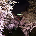 暗い視界の桜色