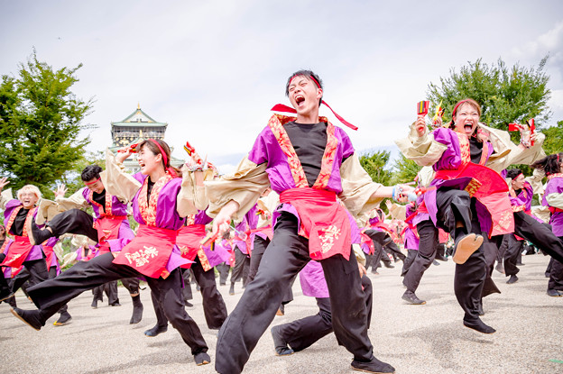 こいや祭り2017　佛教大学よさこいサークル紫踊屋