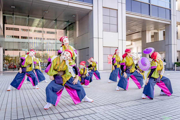 Photos: ドリーム夜さ来い祭り2017　踊る BAKA!Tokyo