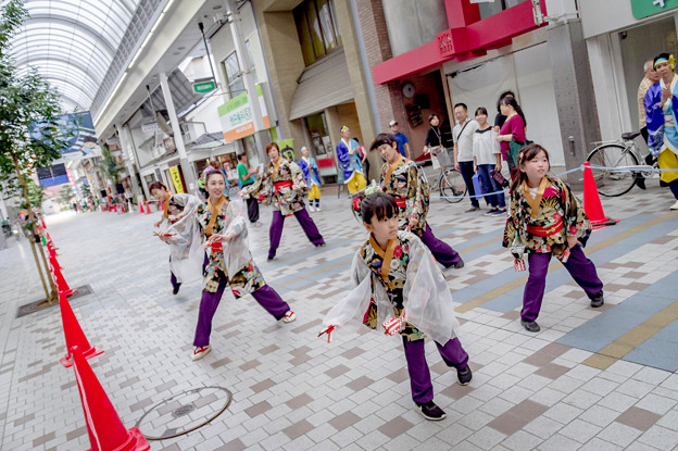 YOSAKOI高松祭り2019　こうべりや support by 山兆水産