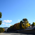 秋空の京都御苑