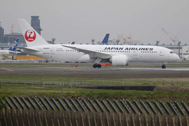 JAL B787 その２