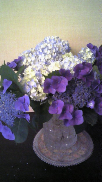 庭の紫陽花を活けてみた♪