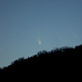 写真: パンスターズ彗星