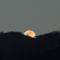 写真: 月の出2