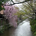 京都　祇園　白川