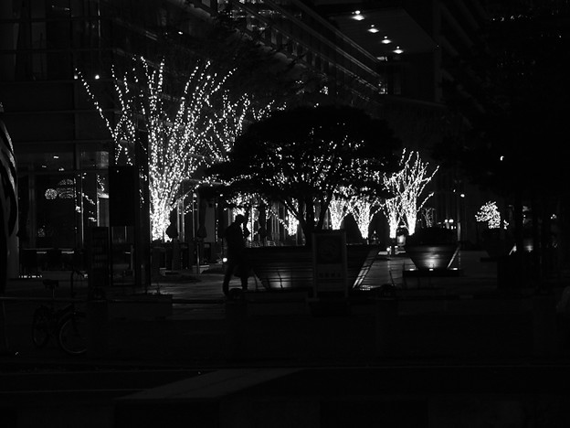 写真: M/M Grand Central Terrace