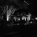 写真: M/M Grand Central Terrace
