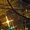 夜桜　その３