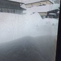 写真: 大雪の山梨