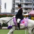 写真: 川崎競馬の誘導馬０６月開催　あやめVer-120611-02-large