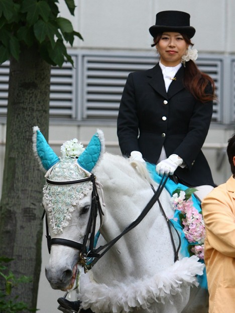 写真: 川崎競馬の誘導馬０６月開催　紫陽花Ver-120613-05-large