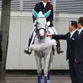 写真: 川崎競馬の誘導馬０６月開催　初心者マークVer-120615-01-large