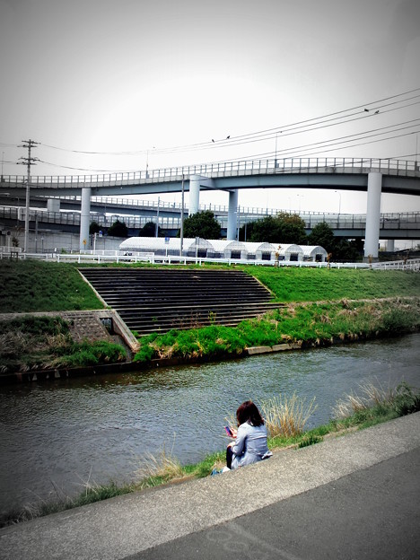 写真: 鶴見川