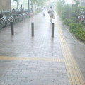 写真: 西宮ガーデンズから出ようとしたら、すごい降り。傘がない。買いに行ったけどなかった。