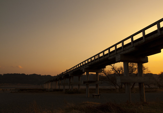 写真: 世界一長い木造橋　蓬莱橋