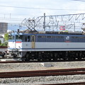 ＪＲ貨物：EF65形2000番台-02