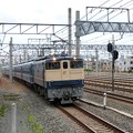 ＳＬ北びわこ号の客車を回送するEF65。