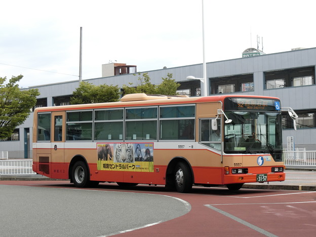 写真: 神姫バス-13