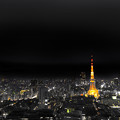 写真: Tokyo Yellow Night