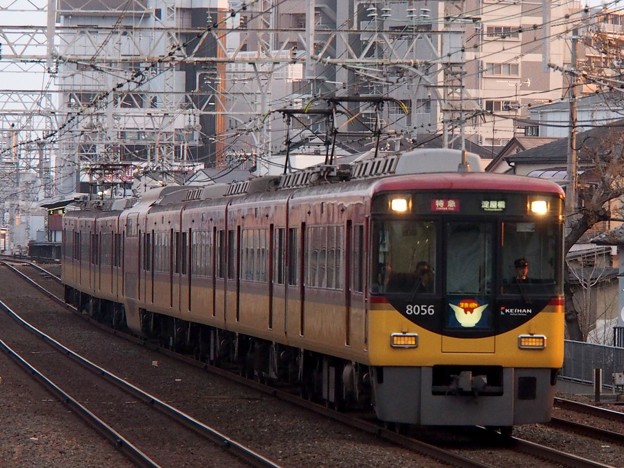 写真: 京阪8000系