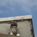 写真: 井上シーサーの屋根のシーサー