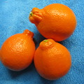 ミネラオレンジ