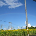 写真: 虹