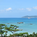 写真: 琉球松と海