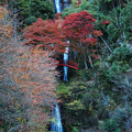 写真: 五宝滝と紅葉
