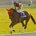 写真: ?Gentildonna(JPN)&R.Moore　#japancup　#horseracing
