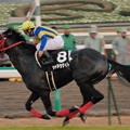 [香取特別06]レースは結局シャドウゲイトが逃げ切り7馬身差つけて圧勝。年明けの金杯を勝って国際G1馬に成長していきます。