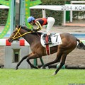 写真: [3新芝12]小倉新馬優勝ブロンシェダーム＆川須