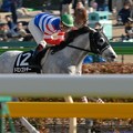 写真: [070211東京9Rカトレア賞]直線抜け出してそのまま2馬身半つけて楽勝したドミンゴシチ―(後藤)