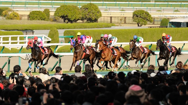 写真: [140406阪神11R大阪杯]1周目直線、トウカイパラダイスを見ながら様子をみてる各馬