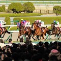 写真: [140406阪神11R大阪杯]1周目直線、トウカイパラダイスを見ながら様子をみてる各馬