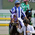 写真: [140525東京11R優駿牝馬]シャイニーガール「華やかな雰囲気なのかどうかわからないわね…」
