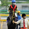 写真: [140525東京11R優駿牝馬]サングレアル「殺気立ってる子が多いなぁ…」