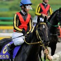 写真: [140525東京11R優駿牝馬]サングレアル「今度はマジックタイムちゃんの視線を感じています」