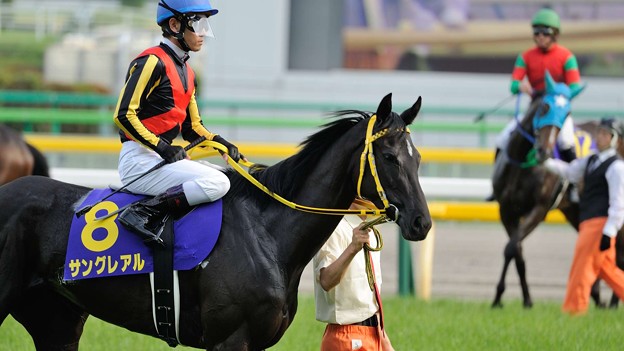 写真: [140525東京11R優駿牝馬]サングレアル「オーラムちゃんふりきれたようね」