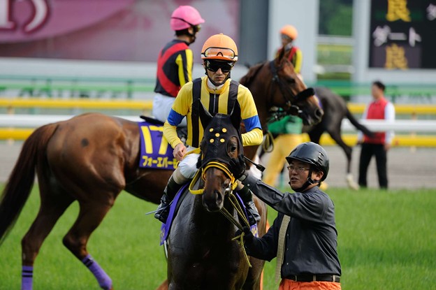 写真: [140525東京11R優駿牝馬]ブランネージュ「ああ、こんなところでペタペタされちゃって、恥ずかしい///」秋山「いいなあ、おい」
