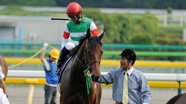 写真: [140525東京11R優駿牝馬]バウンスシャッセ「わかってる、わかってるわオヤジさん。ハープスターのフリして先頭でゴール抜ければいいのよね、馬主さんは喜ぶんだものね、わかってるわ」
