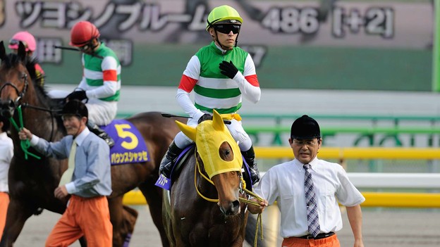 写真: [140525東京11R優駿牝馬]ハープスター「みんなが私を狙ってる目をしているわ…怖いわぁ」バウンスシャッセ「狙うわよ！そら狙うに決まってるでしょうよ！！」