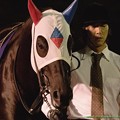 ?ドリームバレンチノ「うーん、やはりトゥインクルにはこの漆黒の馬体が映えるねうむうむ」【141001大井11R東京盃】