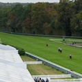 写真: 3階展望席から眺める。ポケット方向に流していく各馬[161001シャンティイC6_QatarPrixDanielWildenstein(GII)]　#Chantilly