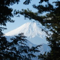 写真: 富士山（６）