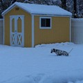 写真: Winter Wonderland ......Snow Storm 通過中！